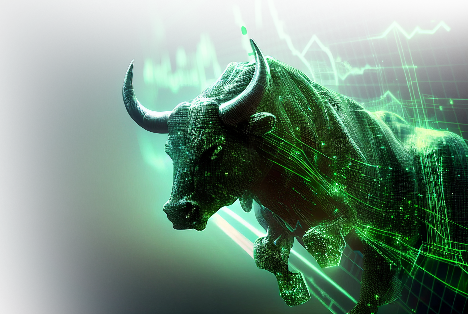 Digital Bull